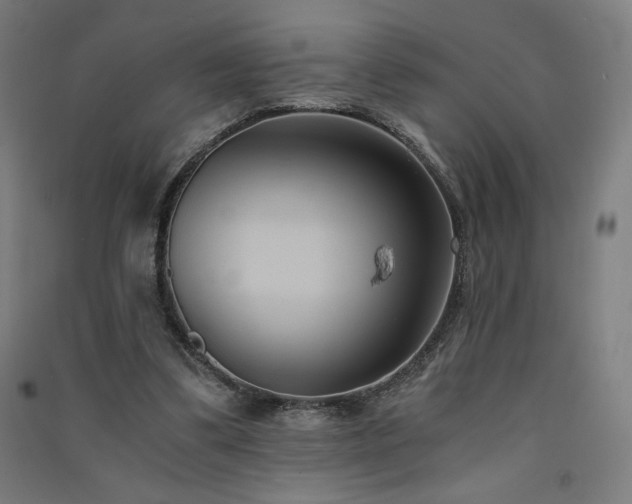 X0000091570299200708201151