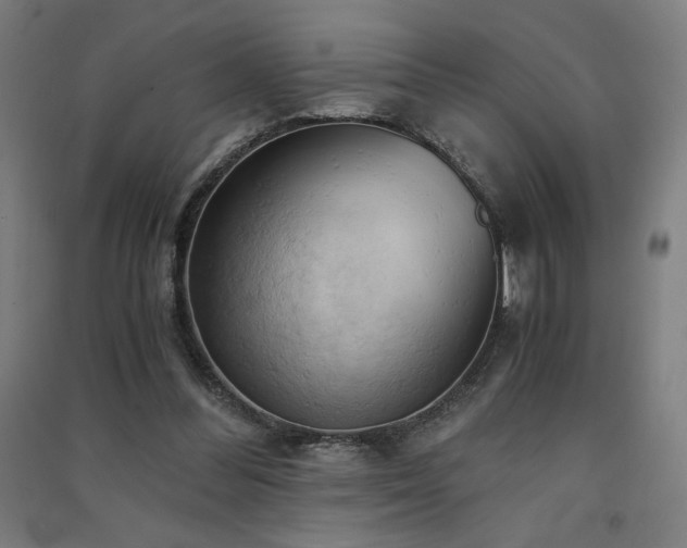 X0000091570300200708201151
