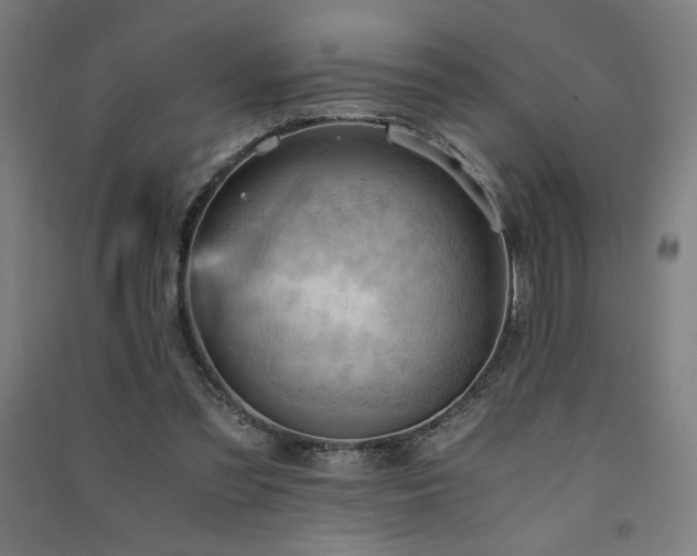 X0000091570301200708201151