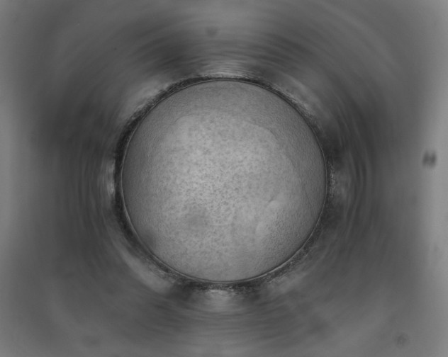 X0000091570302200708201151