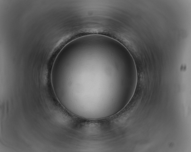 X0000091570304200708201151