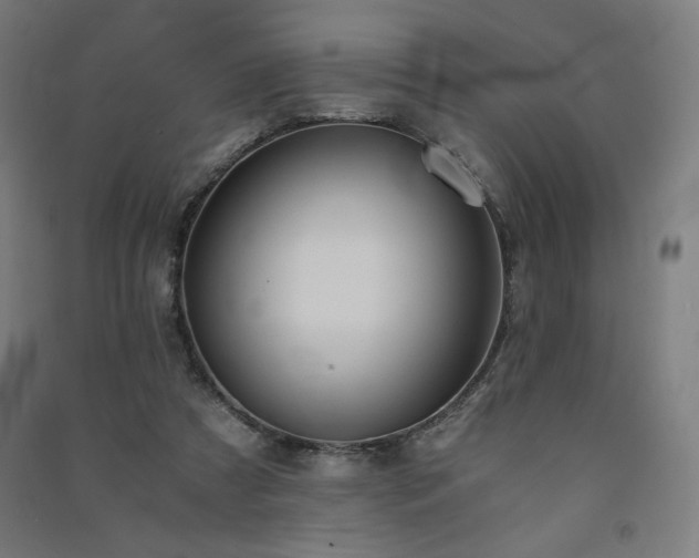 X0000091570305200708201151