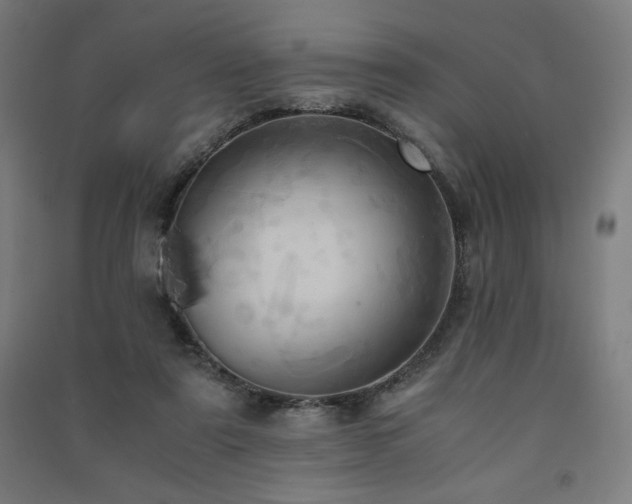 X0000091570307200708201151