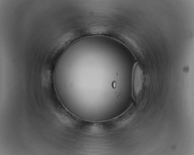 X0000091570308200708201151