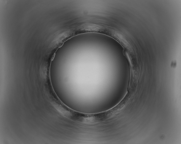 X0000091570309200708201151