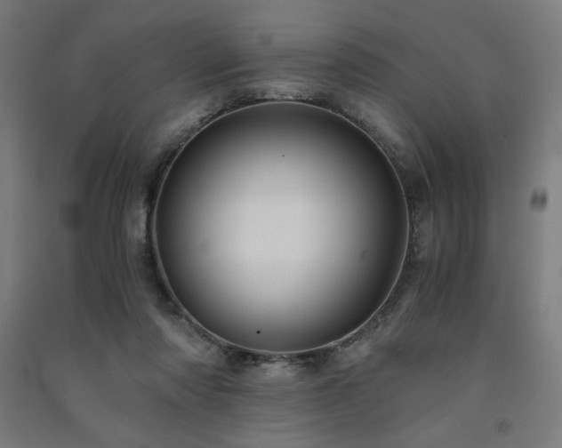 X0000091570310200708201151