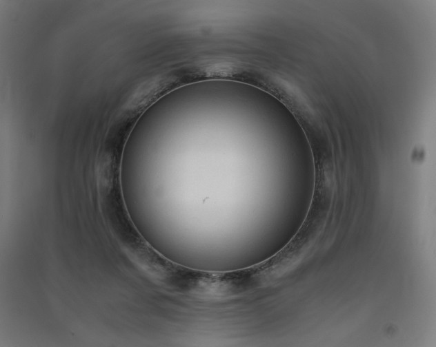 X0000091570311200708201151