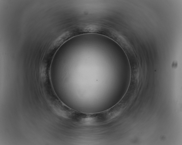 X0000091570312200708201151