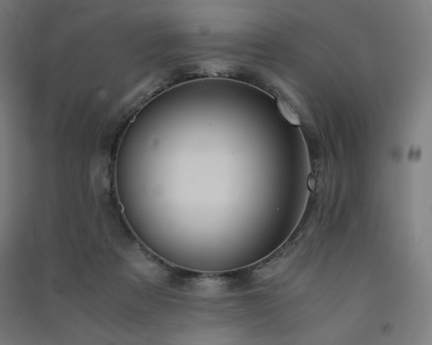 X0000091570313200708201151