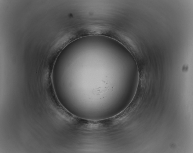 X0000091570314200708201151