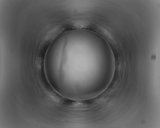 X0000091570315200708201151