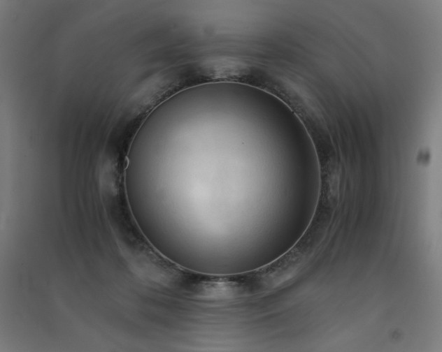 X0000091570316200708201151