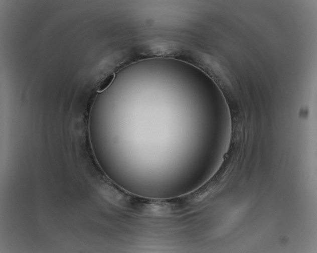 X0000091570317200708201151