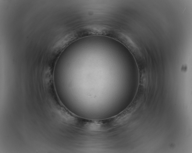 X0000091570318200708201151