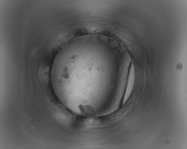 X0000091570319200708201151