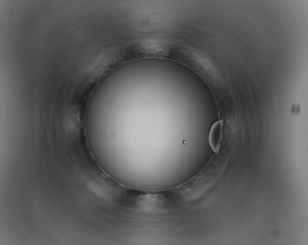 X0000091570320200708201151