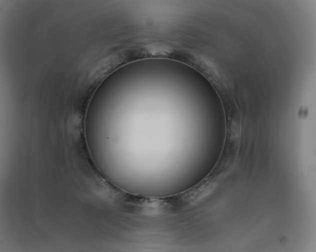 X0000091570321200708201151
