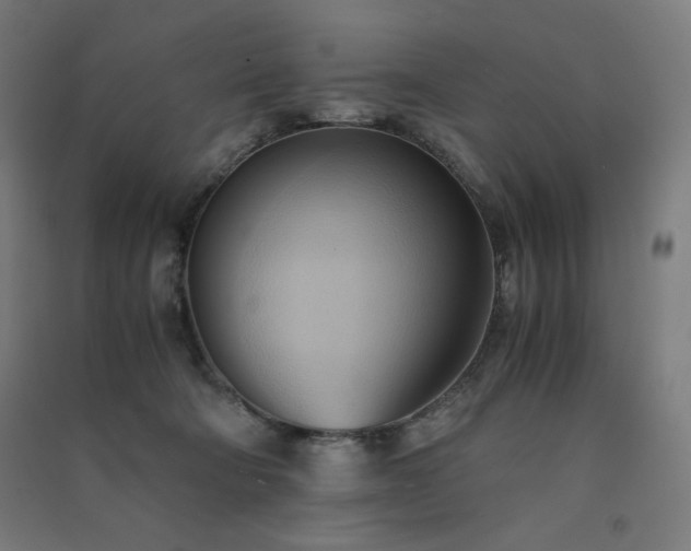 X0000091570322200708201151
