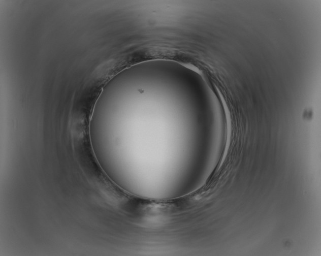 X0000091570323200708201151