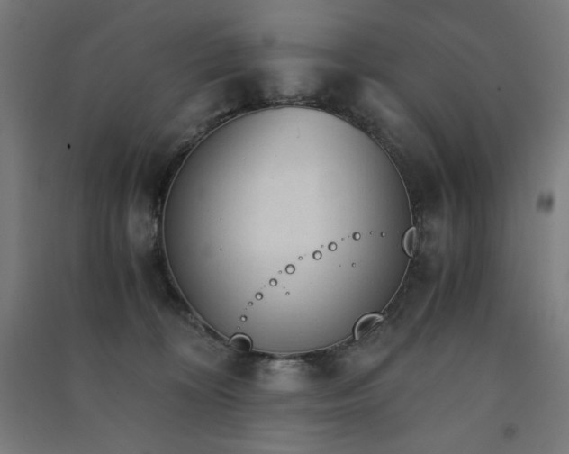 X0000091570324200708201151