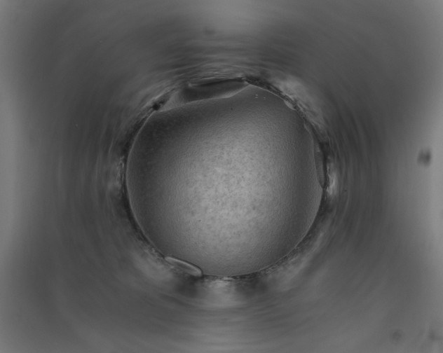 X0000091570325200708201151