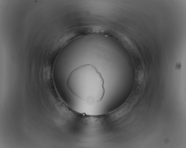 X0000091570326200708201151