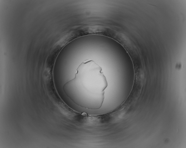X0000091570327200708201151