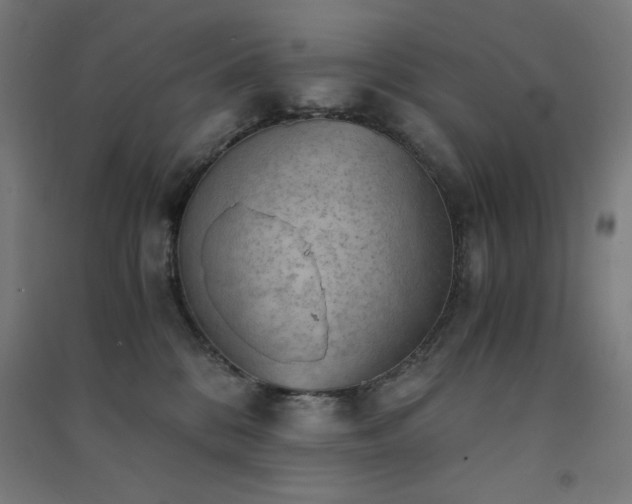 X0000091570328200708201151