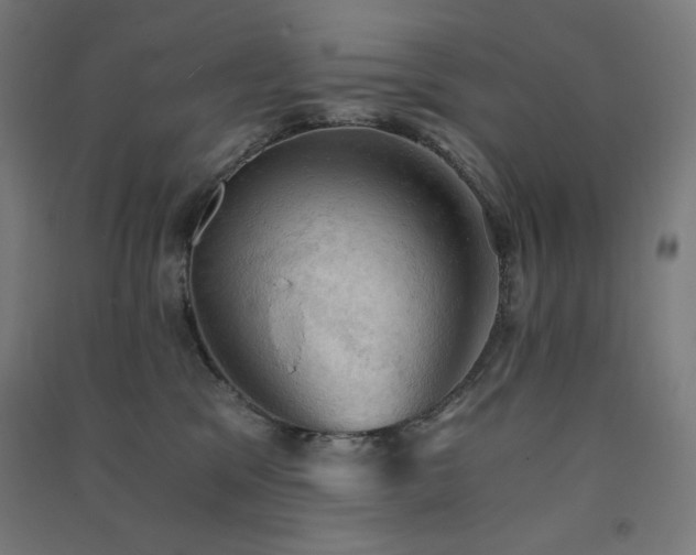 X0000091570329200708201151