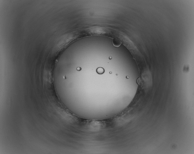 X0000091570330200708201151