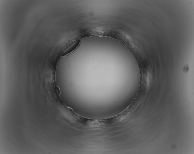 X0000091570331200708201151