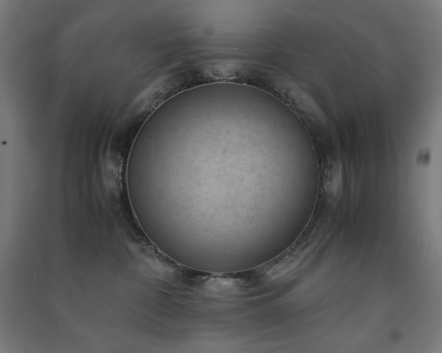 X0000091570332200708201151