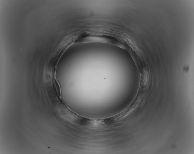 X0000091570333200708201151