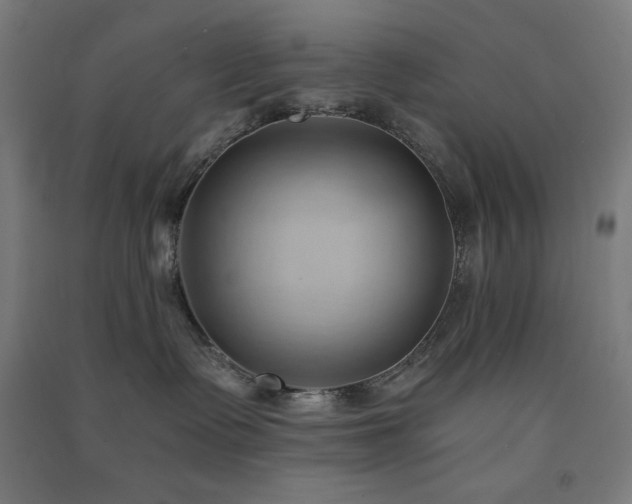 X0000091570335200708201151