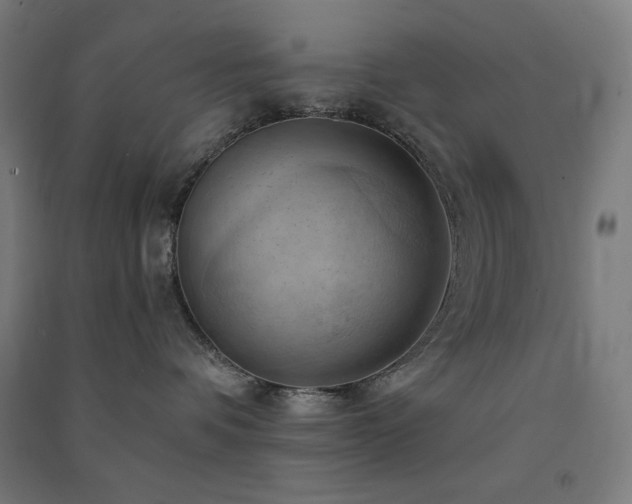 X0000091570336200708201151