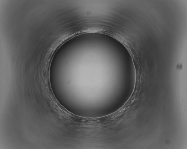 X0000091570337200708201150