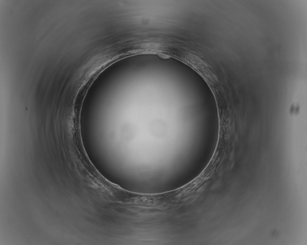 X0000091570338200708201150