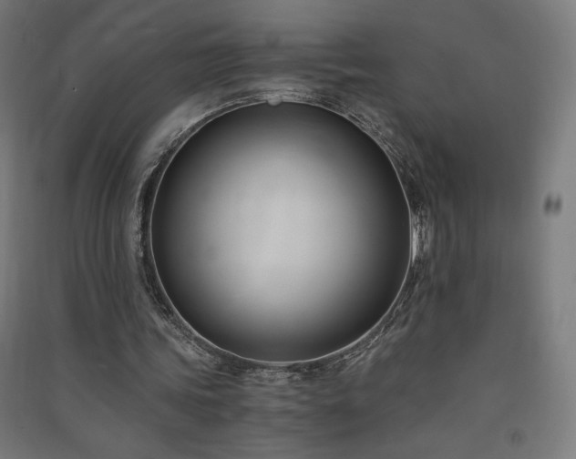 X0000091570339200708201150