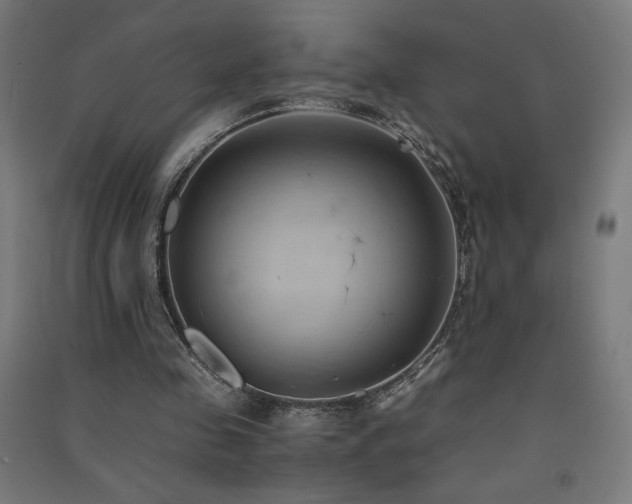 X0000091570341200708201150