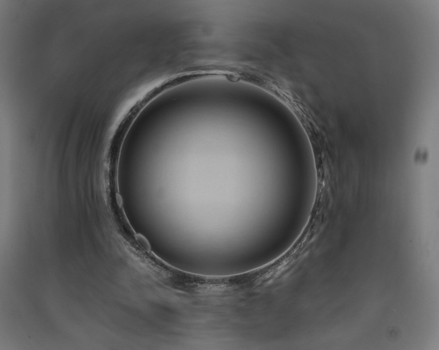X0000091570342200708201150