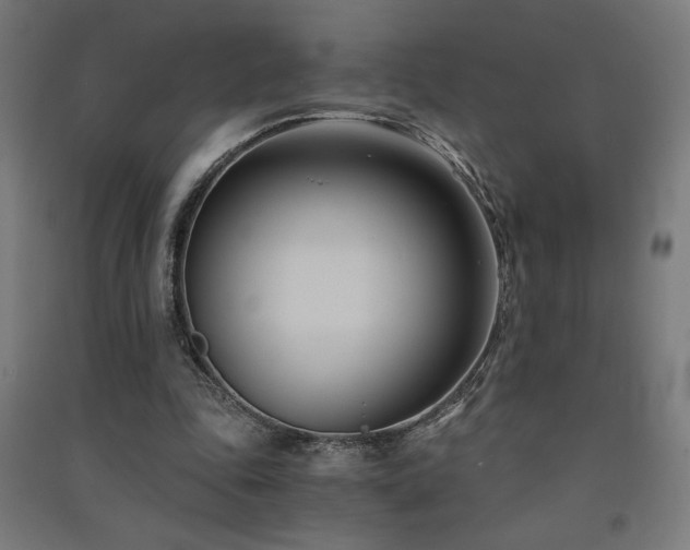 X0000091570343200708201150