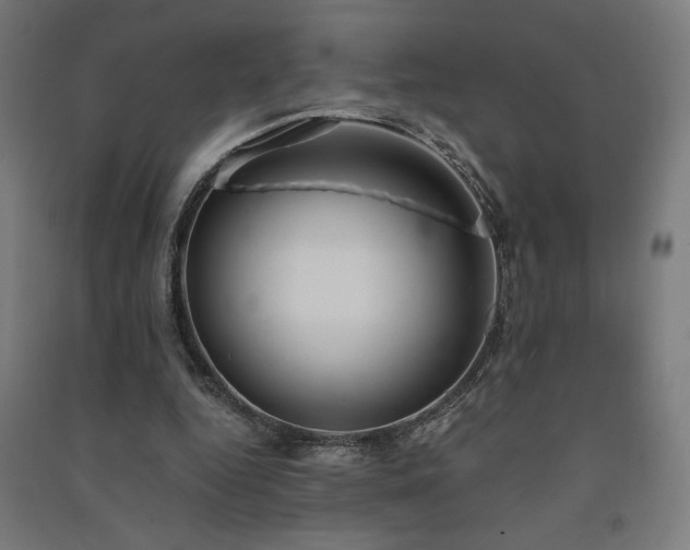 X0000091570344200708201150