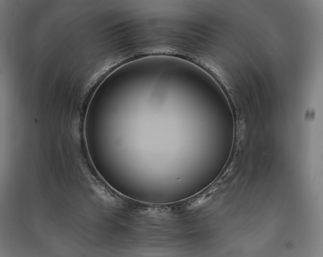 X0000091570345200708201150