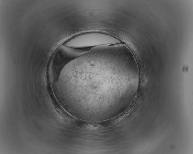 X0000091570346200708201150