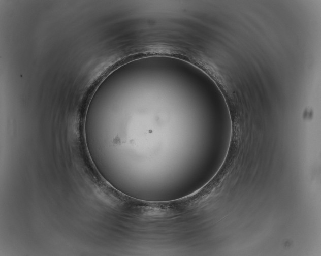 X0000091570347200708201150