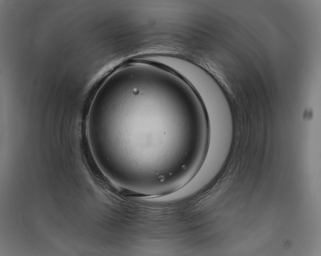 X0000091570348200708201150