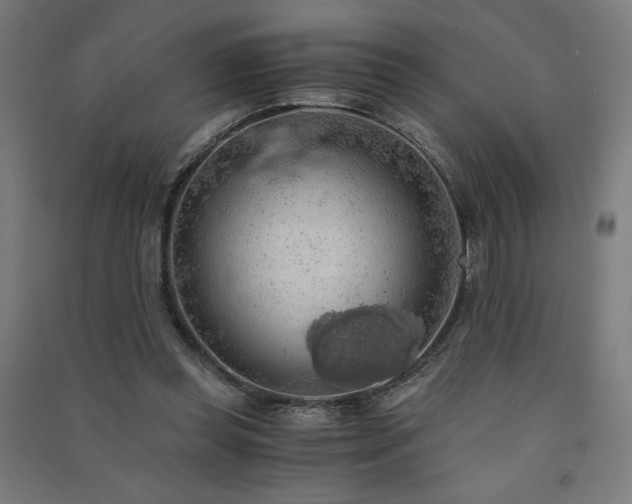 X0000091570349200708201150