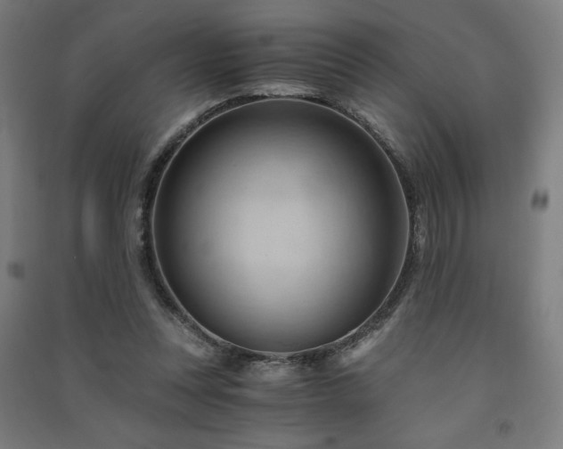 X0000091570351200708201150