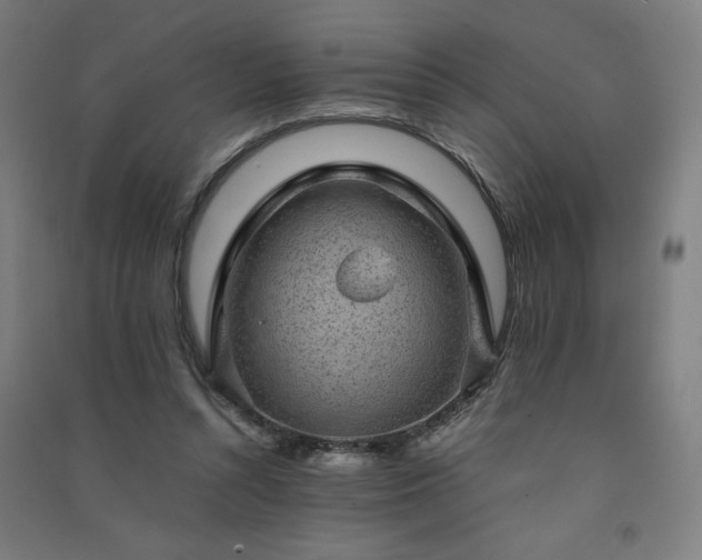 X0000091570352200708201150