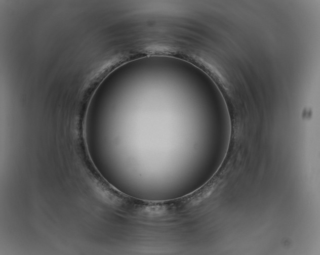 X0000091570353200708201150